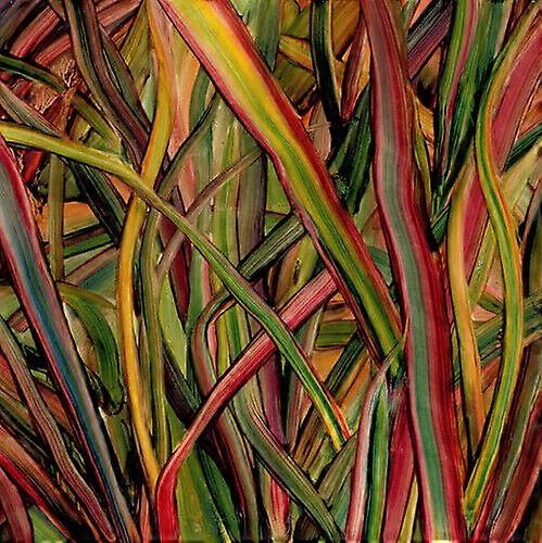 Gengahr Where Wilderness Grows CD (2018)