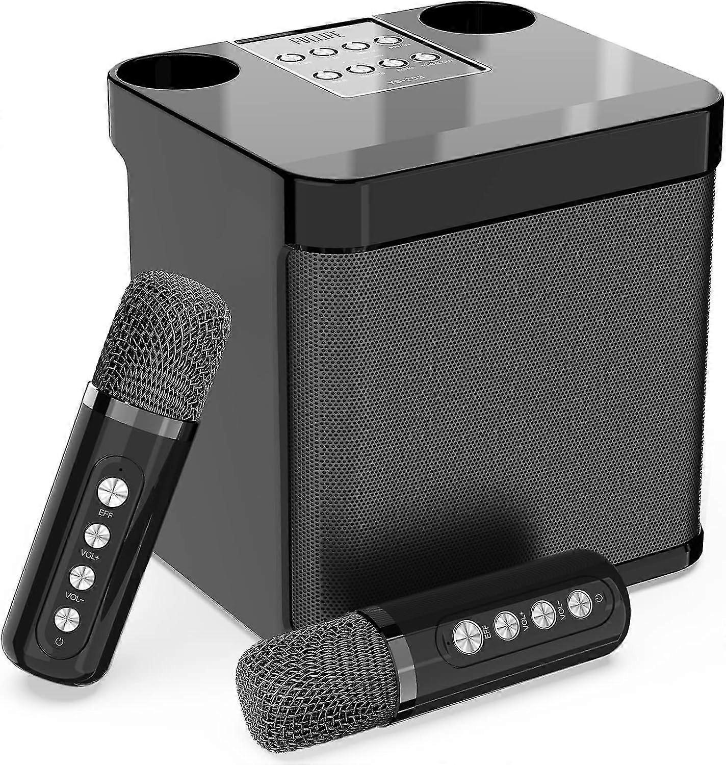 2 Wireless Microphones,Portable Bluetooth PA Speaker System, HD Sound Singing Machine with Echo and Vocal Cut, Supports TF/USB, AUX-in