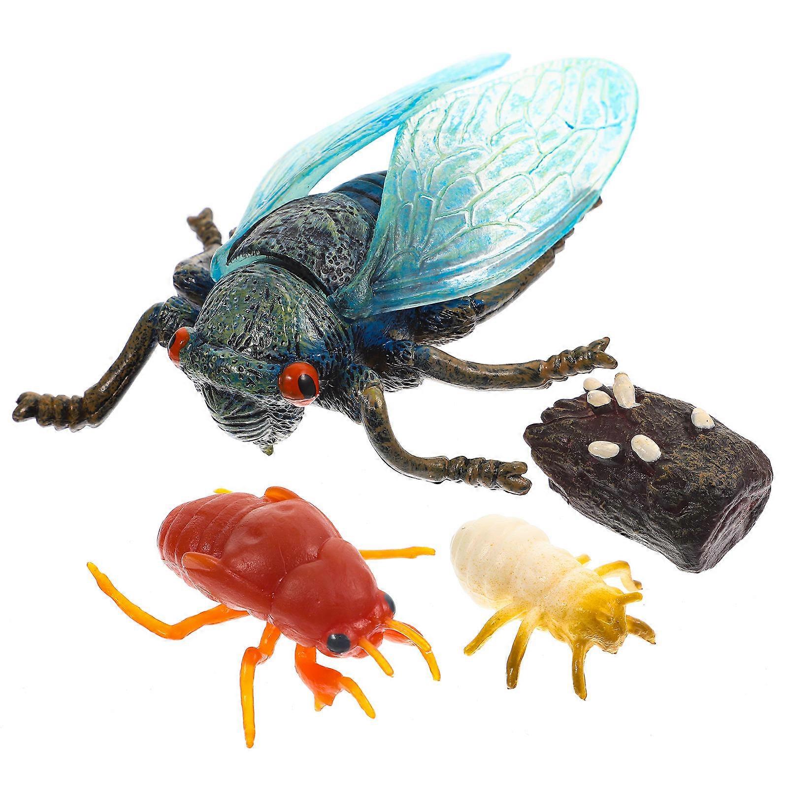 Lifelike Cicada Growth Cycle Model Set Educational Simulation Ornament for Nature Exploration, Safe & Corrosion Resistant