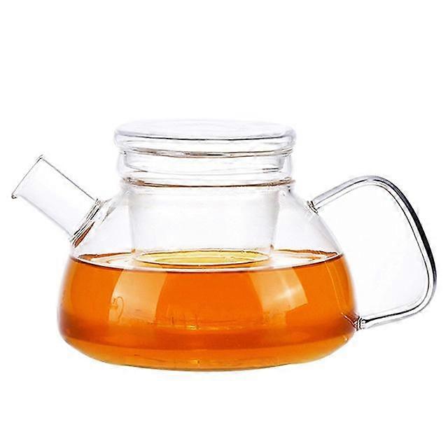 700ml Handmade Heat Resistant Borosilicate Glass Thick Tea Pot Filter