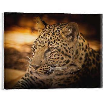Leopard Wildlife Africa Jigsaw Puzzle Artwork for Kitchen Bathroom Modernation VV613