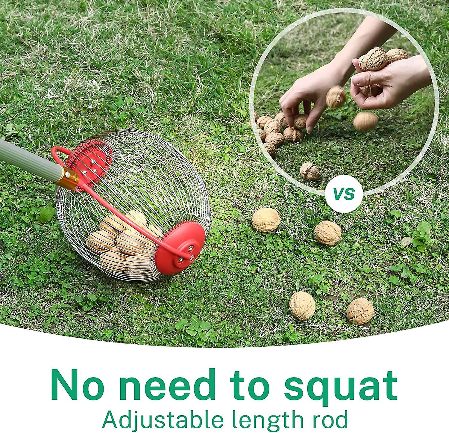 Nut Gatherer Adjustable Lightweight Rolling Nut Wizard Picker Pecan Collector