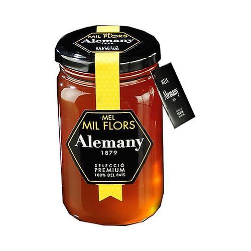 Thousand Flowers Honey 500 g