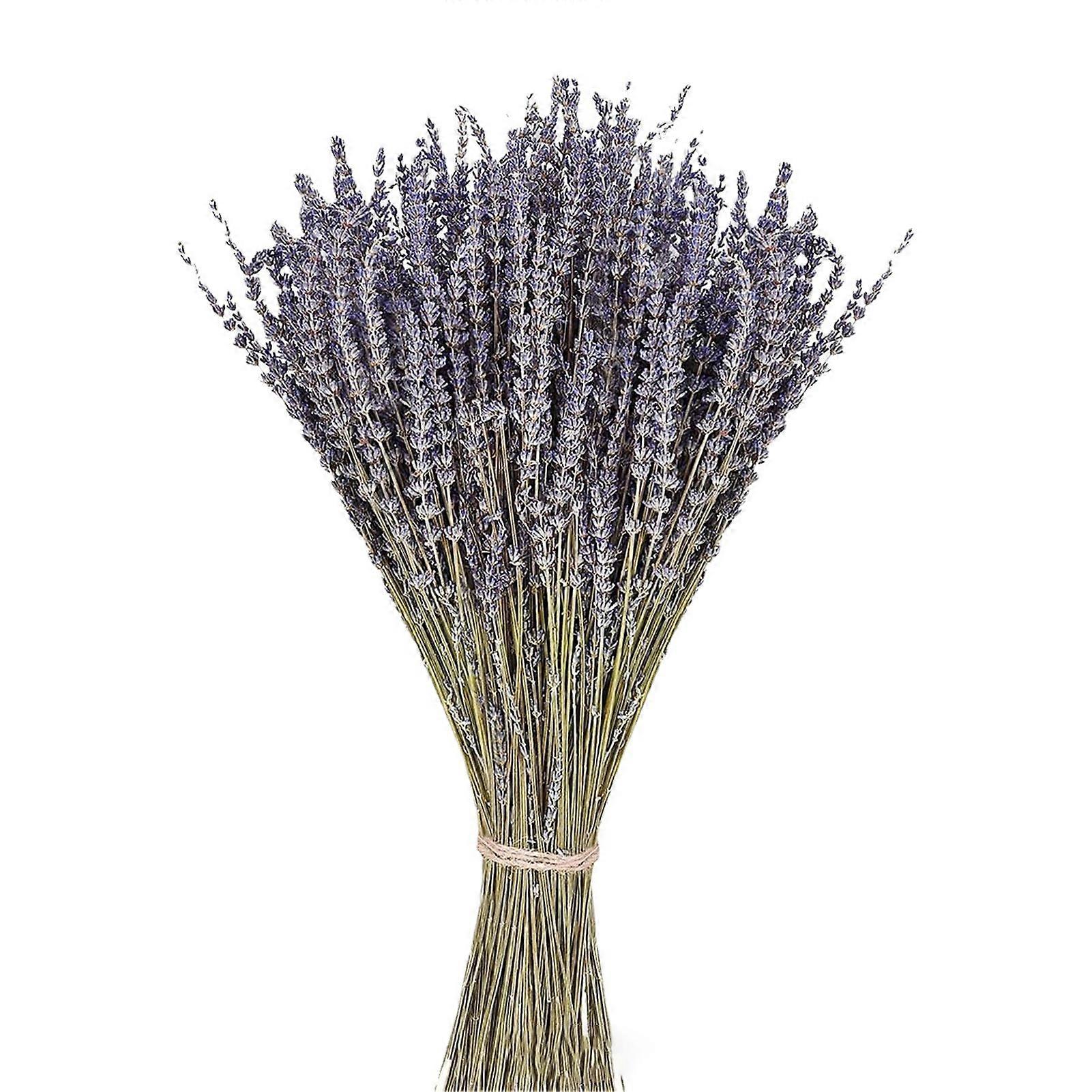 1 Box Natural Dried Lavender Fadeless Sweet Scent No Watering Wedding Decor Bedside Better Sleeping Flower Arrangement Natural Plants KAESI
