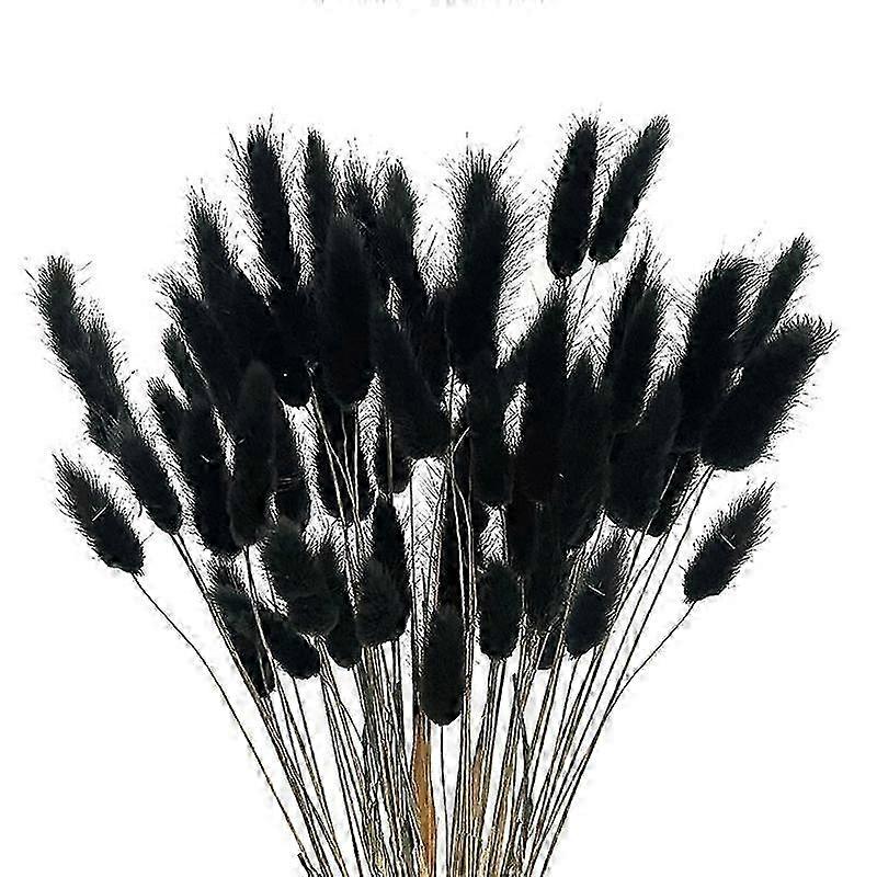 60 Pcs Automne Fleurs Séchées Lapin Fleurs Séchées Lagurus Ovatus Queue De Lapin Herbe Pour Séché Floral (Blac