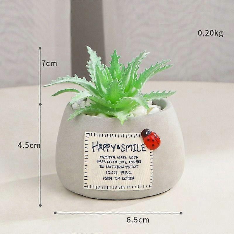 Mini succulent micro landscape simulation potted plant (thorn meat)