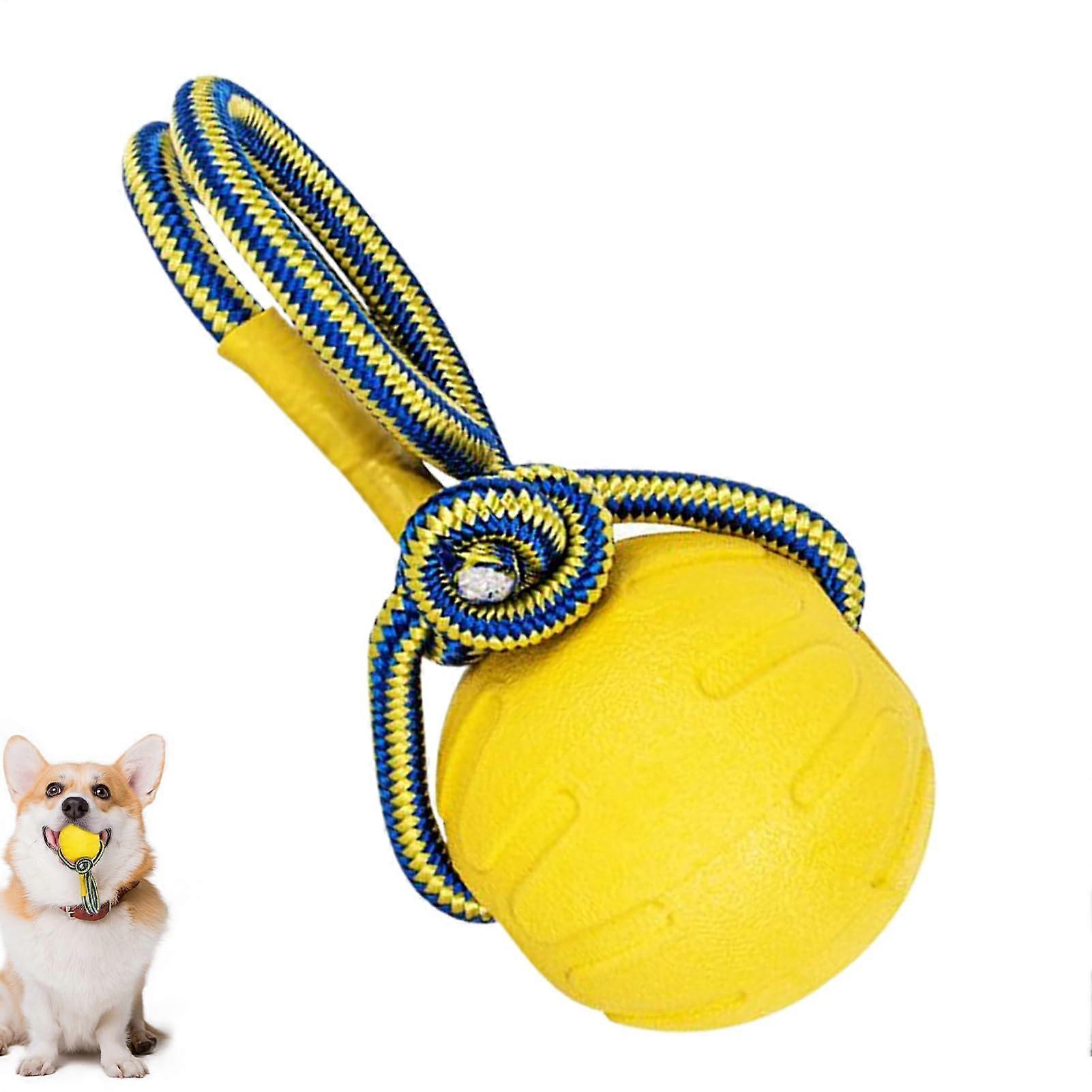 Jollyball for Dogs - Indestructible Chew-Training Ball With Grip, Interactive Puppy Toy, Chew Knot For Aggressive Chewers