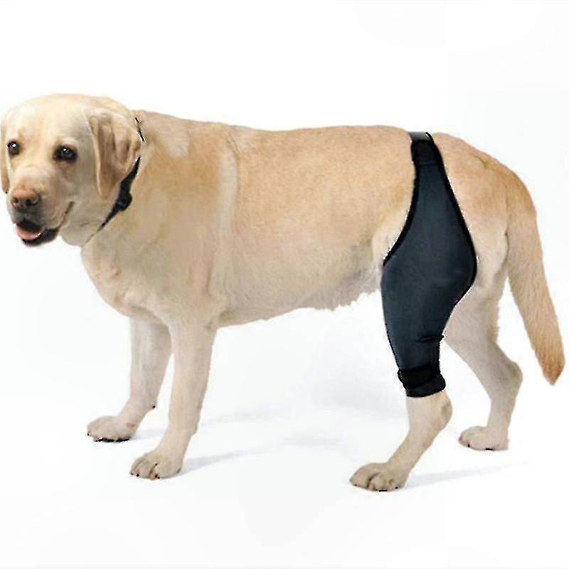 Canine Knee Support for Joint Health and Mobility Aid