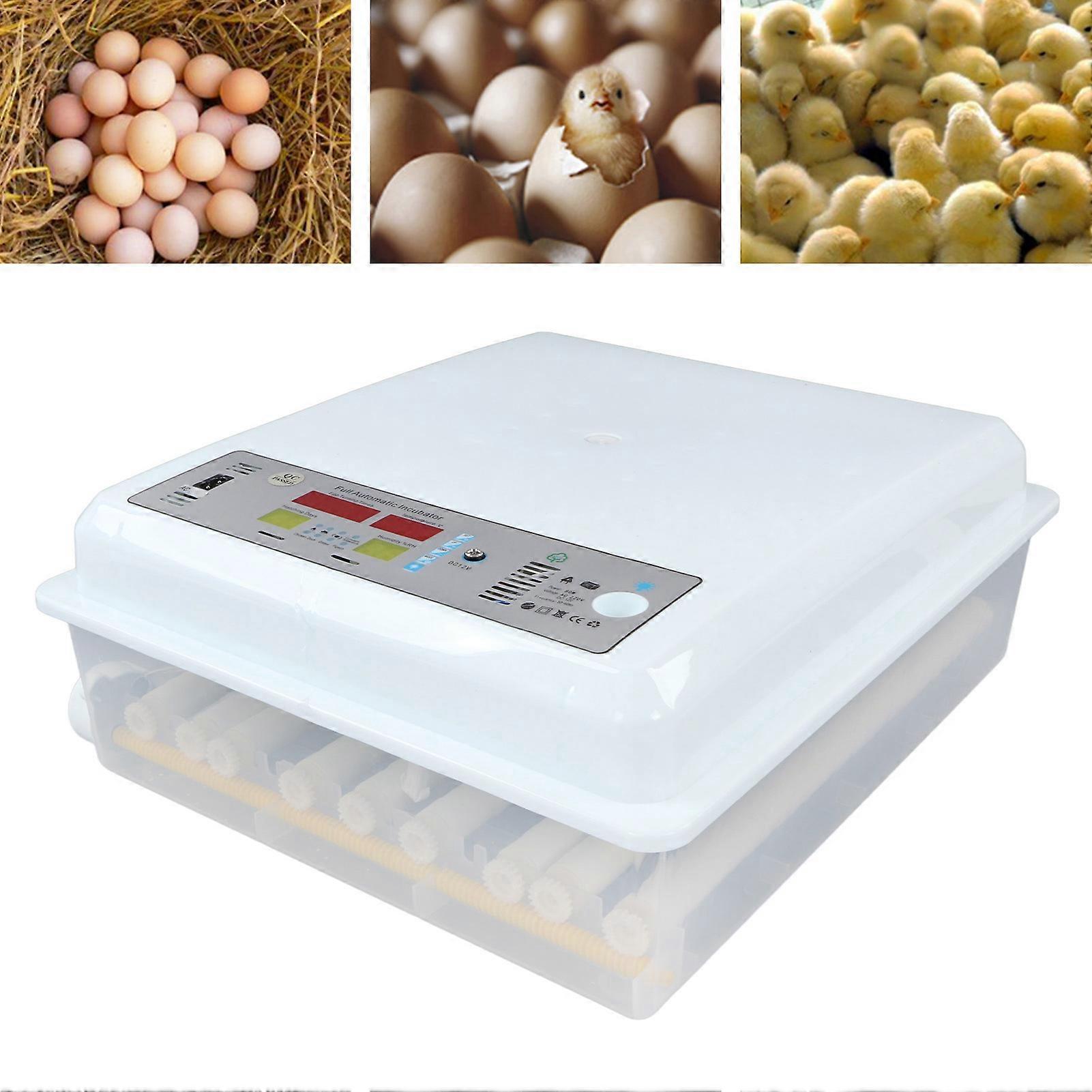 Smart Digital Egg Incubator 220V UK Plug Automatic Turning