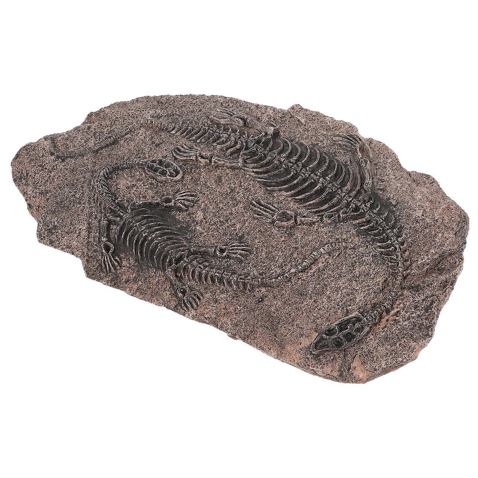 Dinosaur Resin Skeleton Ornament for Classroom Teaching 2Pcs
