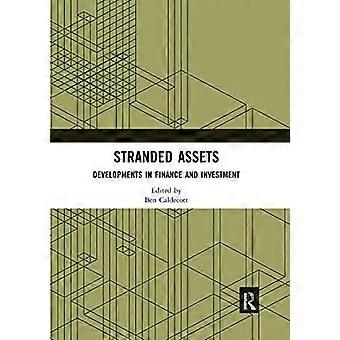 Stranded Assets Developments in Finance and Investment