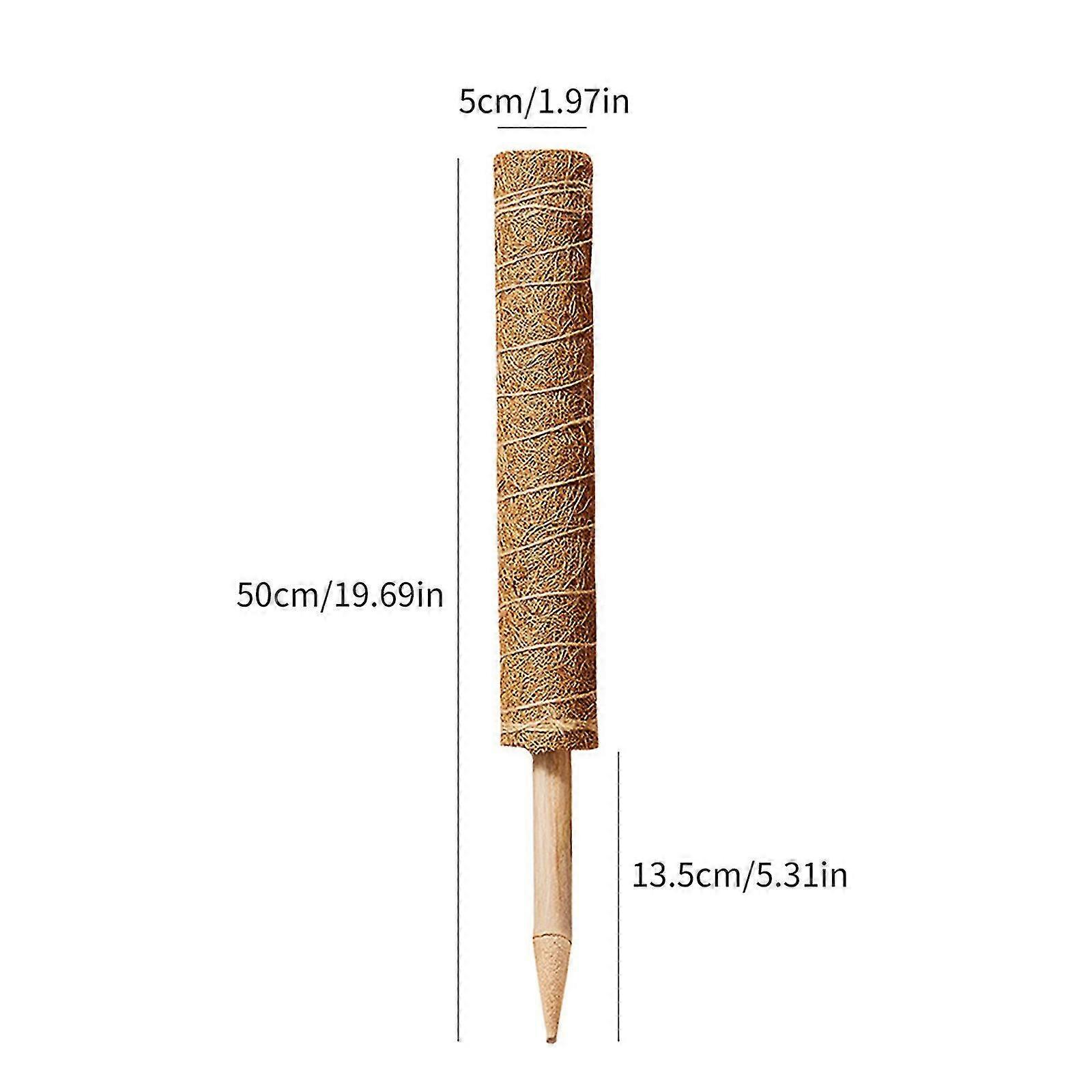 Palm Stick Green Scindactus Plant Climbing Vine Pole Flower Bracket