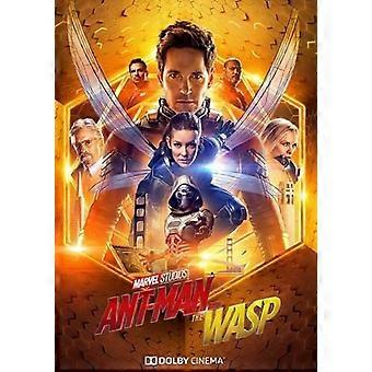 Ant-Man en de Wasp BB6 Stressverlichtende Puzzel UE 0594