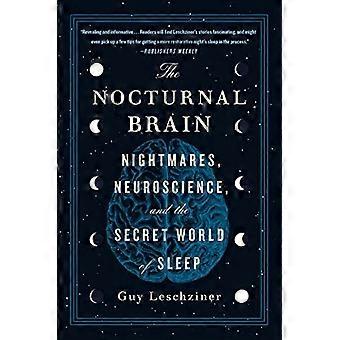 Il cervello notturno: incubi, neuroscienze e il mondo segreto del sonno