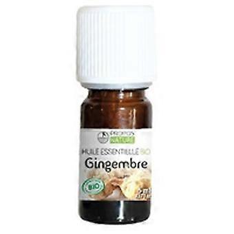 Ginger essential oil 5 ml of essential oil (Ginger)