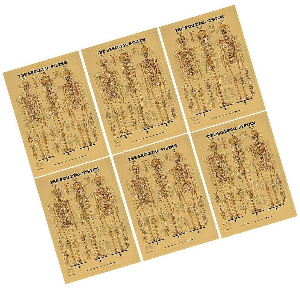 Skeletal Structure Poster Learning Human Skeleton for Decor 6Pcs Set