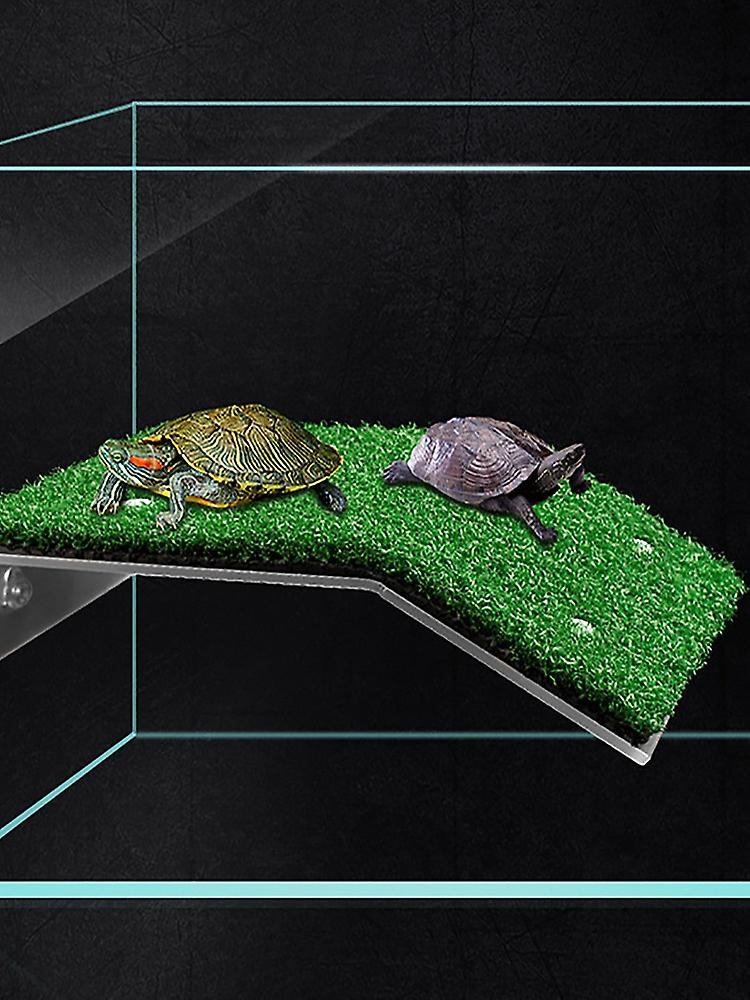 Compact Floating Turtle Basking Platform for Aquarium Landscapes