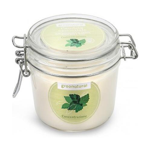 Concentrated Soy Candle 1 unit (Eucalyptus - Mint)