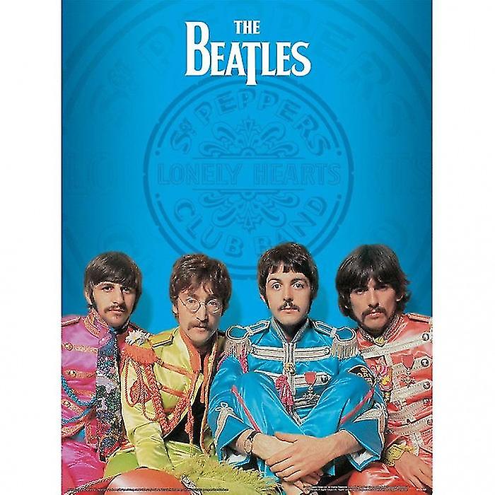 The Beatles Sgt Pepper Band Print
