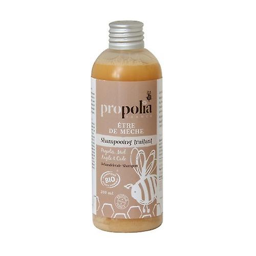 Shampoo treating propolis, honey, clay & organic Cade 200 ml