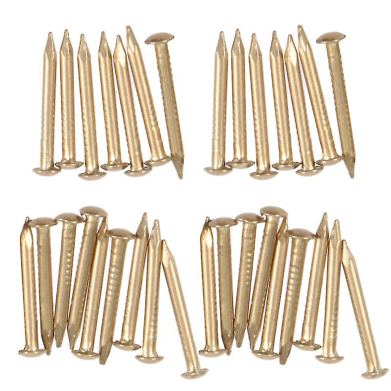 100pcs Brass Nails