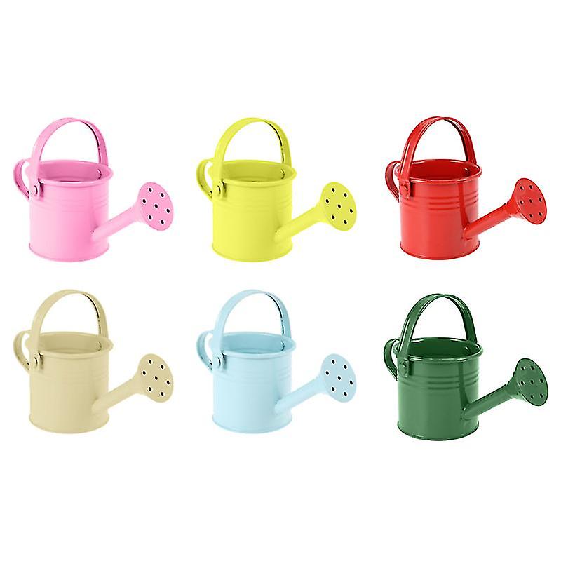 6pcs Watering Can