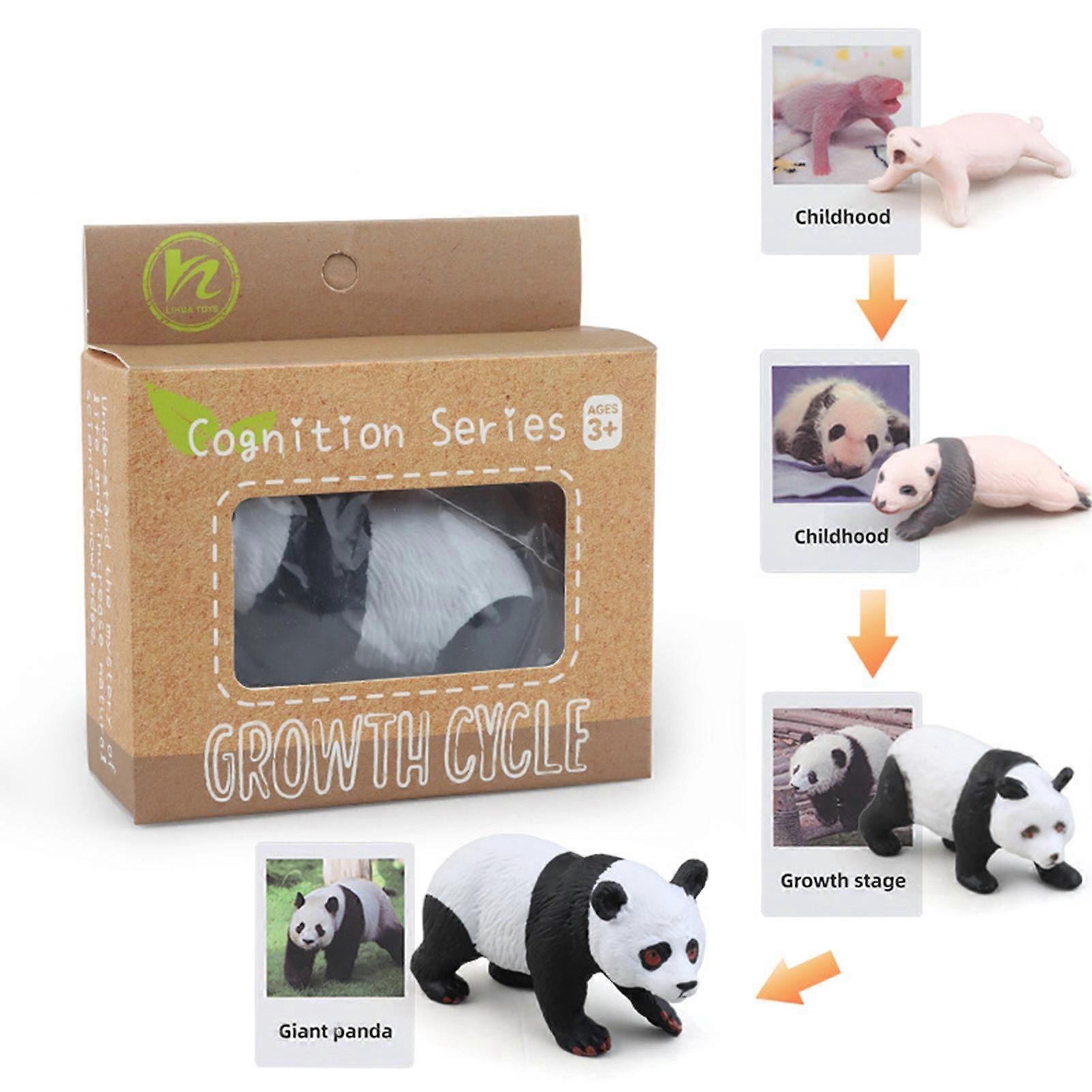1 Box Biology Discovery Toy Realistic Frog Bee Panda Chick Butterfly Fish Plant Animal Figurines Life Cycle Learning Creative Toddler Preschool Scienc