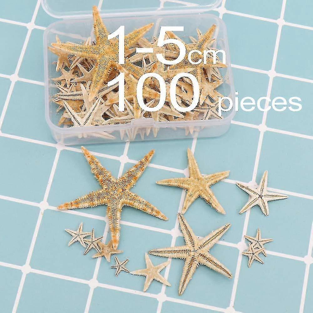 100pcs Starfish Decor Shell Craft Decorative Shell Decor Diy Starfish Decor Shell Decor