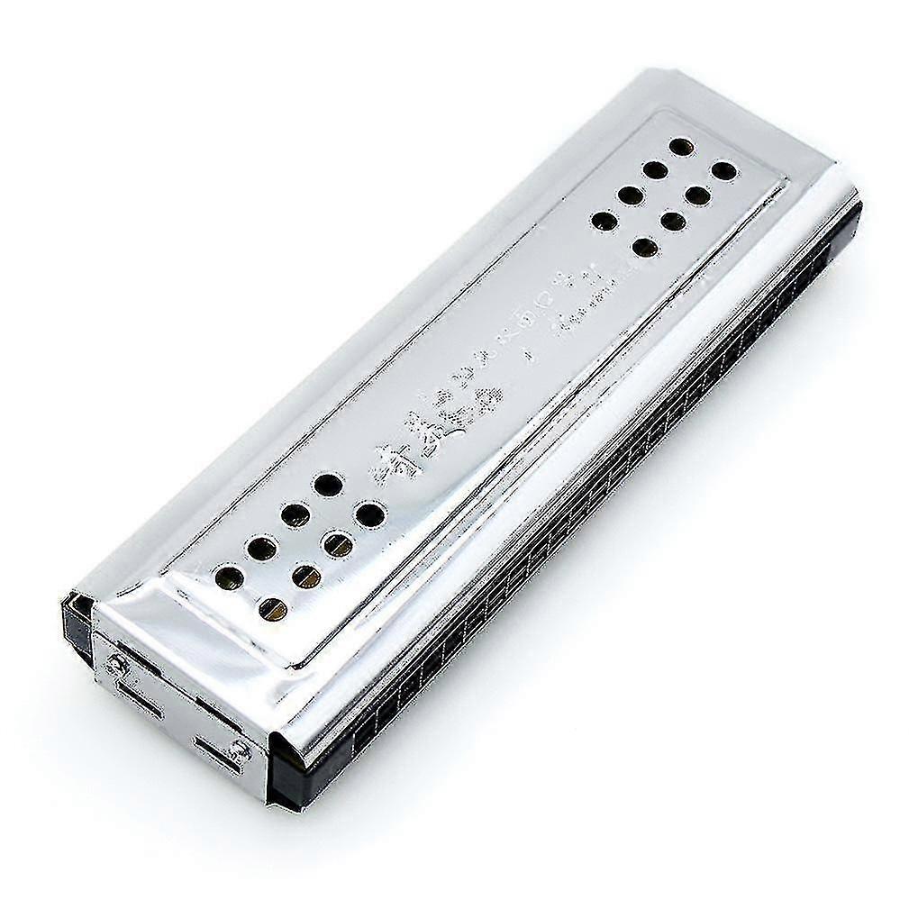 Double Sides Harmonica Instrument 24 Holes Key Of C G Harmonica