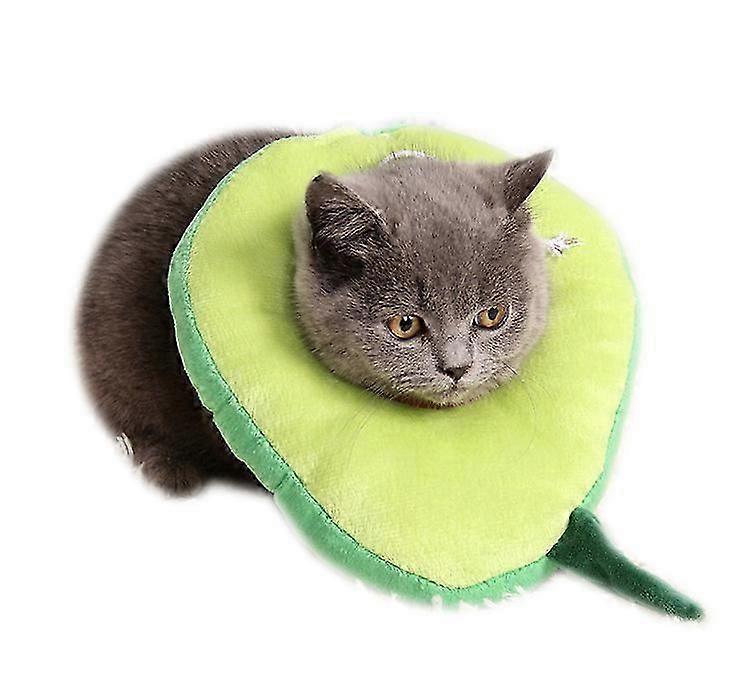 Avocado Elizabeth Circle Adjustable,Anti-scratch Bite