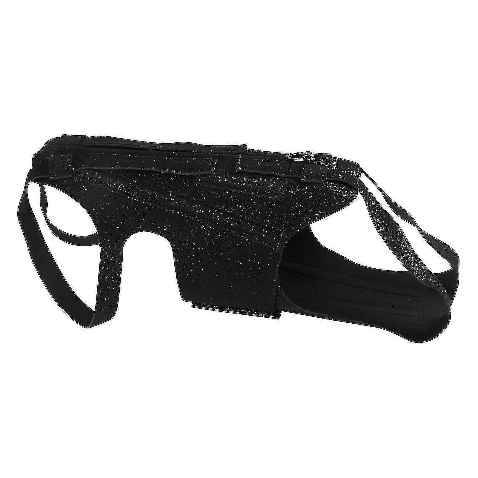 Veterinary Dog Back Brace for Post-Surgery Care