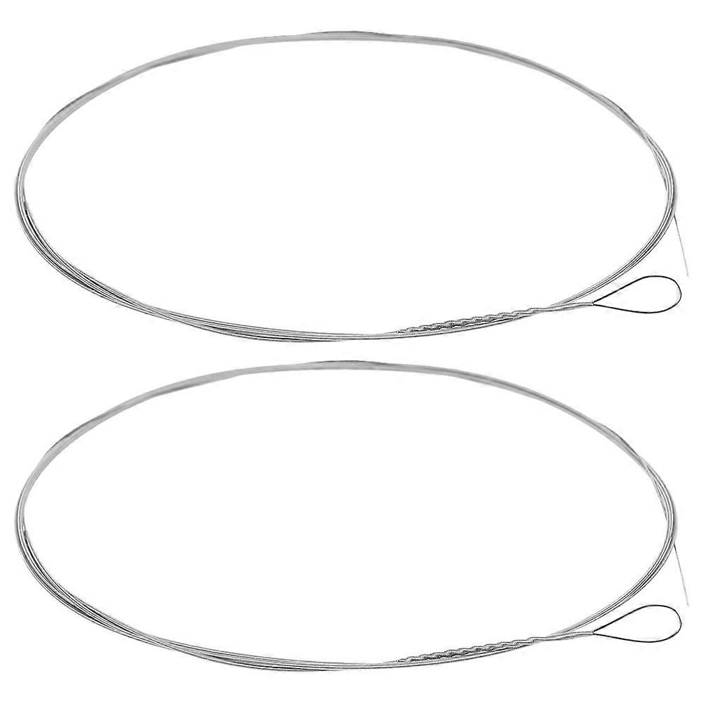 Folk Dulcimer Strings Metal Strings for Musicians Silver 160.00X0.53X0.10CM Replacement 2Pcs