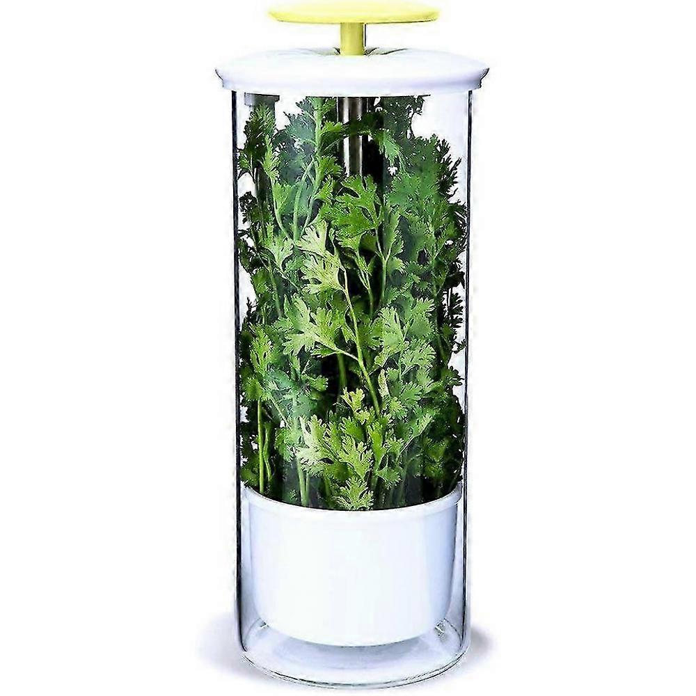 Herb Keeper and Herb Saver,Glass Storage Container for Cilantro, Mint, for 2-3 Weeks