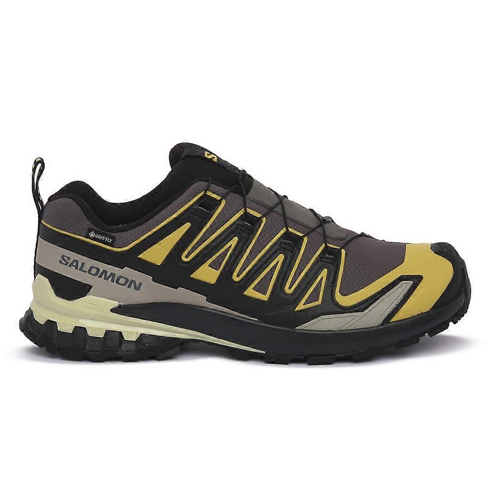 Shoes Salomon Xa Pro 3d V9 479804