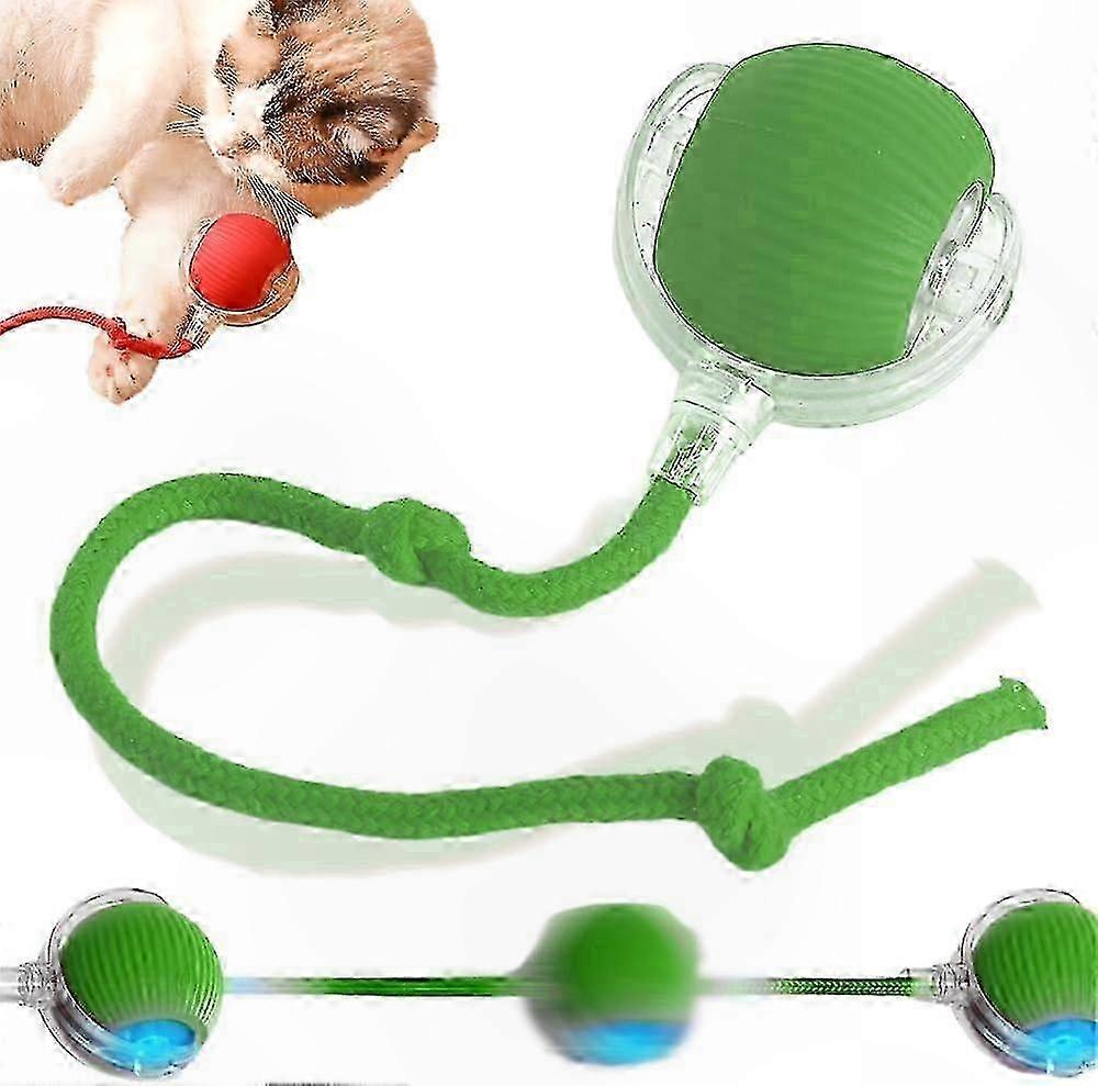 Interactive Electric Rolling Ball Toy for Dogs and Cats with Self-Motion Feature