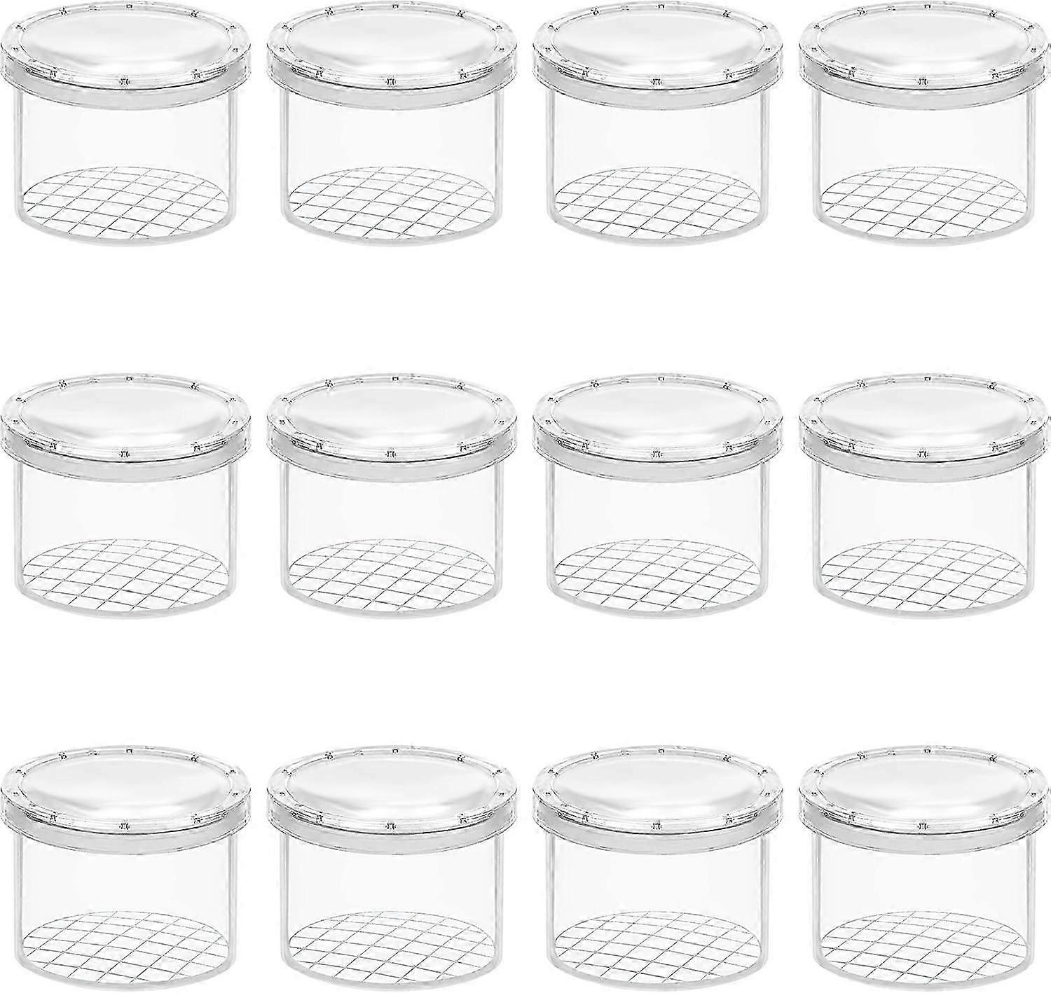 Magnifying Insect Container   - Clear Observation Bug Box/Viewer - Portable Insect Cage for Science/Nature Exploration and Bug Collecting - Catching T