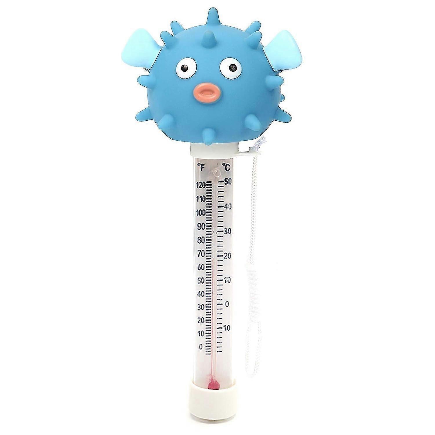Floating Pool Thermometer