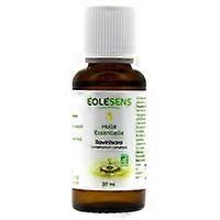 Ravintsara 30 ml of essential oil