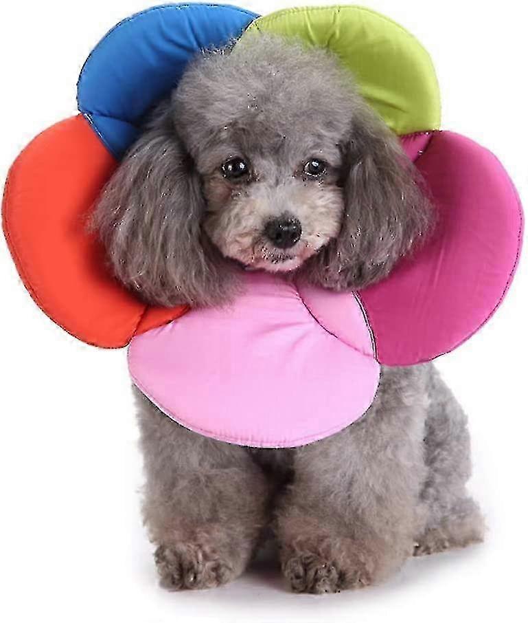 adjustable pet protective collar,soft edge circle,size s ddLM1