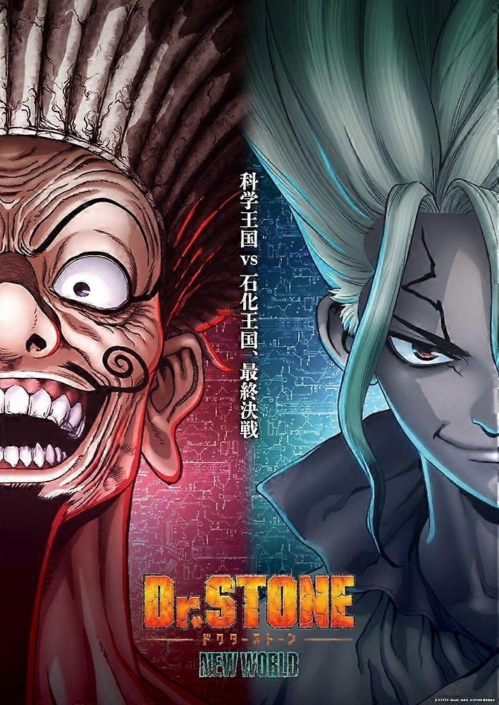 Dr Stone New World Immersive Puzzle Y618