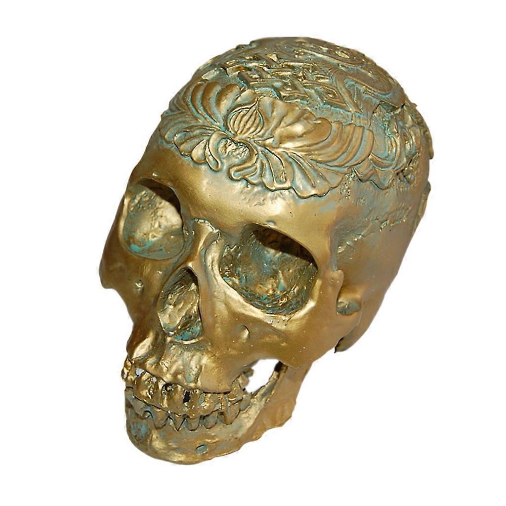 Lifesize 1:1 Human Skull Replica Resin Model Anatomical Skeleton