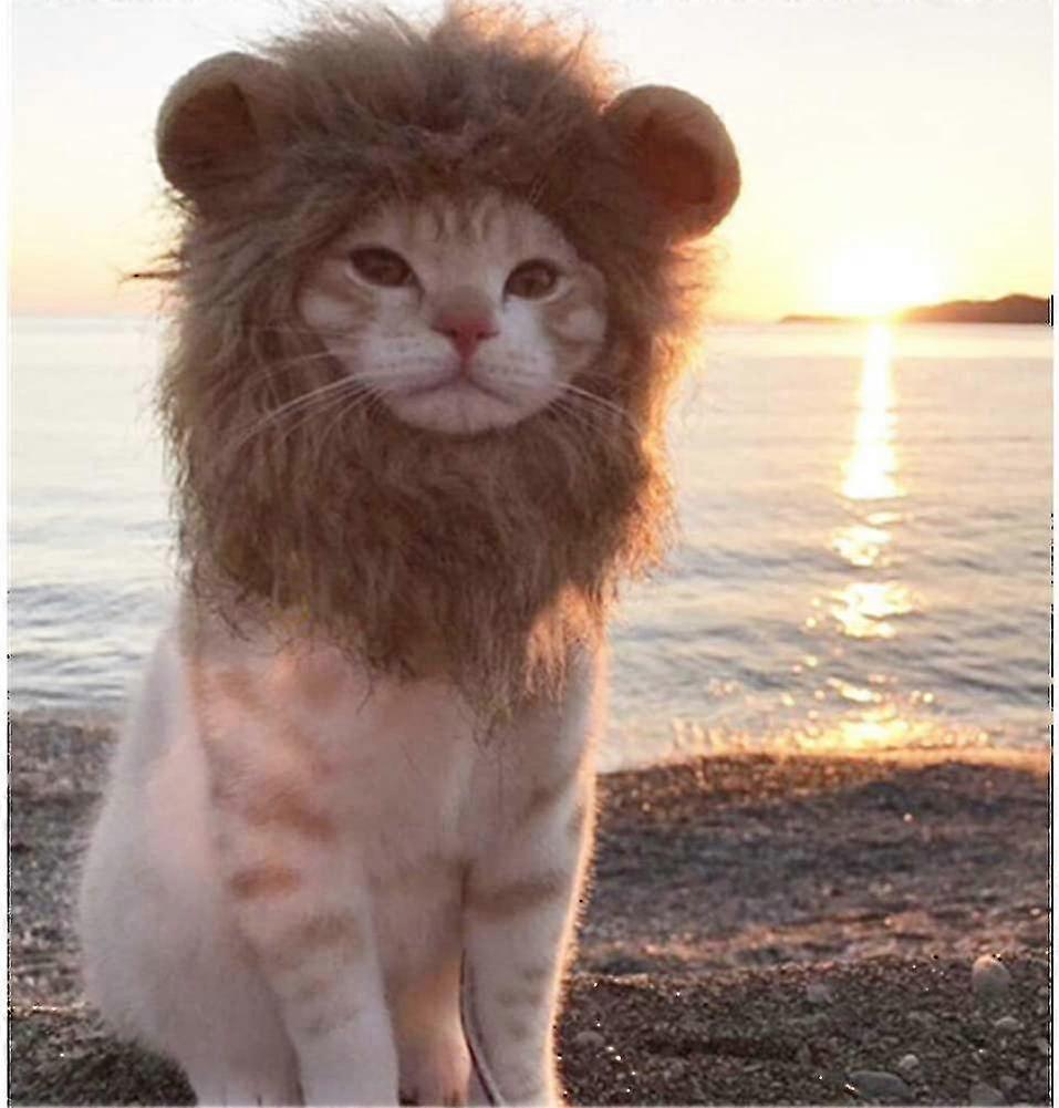 ライオンのたてがみ猫の衣装、猫の衣装帽子柔らかい毛皮のようなペットのかつらかわいい耳ペットの衣装アクセサリードレスアップハロウィンパーティーサイズMブラウン