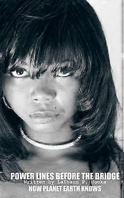 Power Lines Before the Bridge