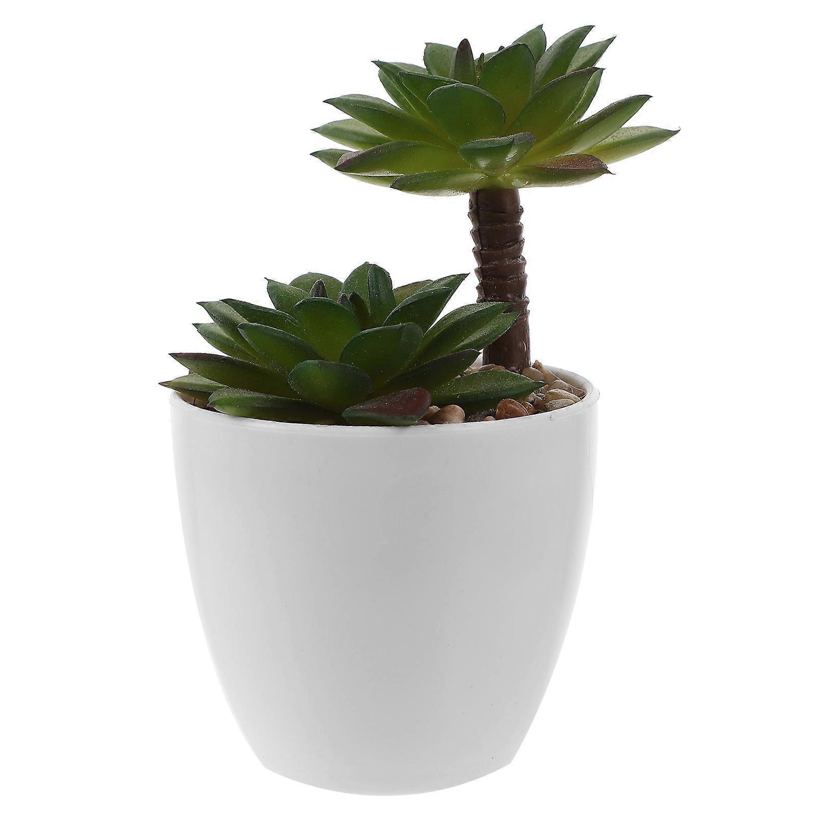 Spring Succulent Decorations Simulation Potted Plant Modern Style Plastic 1Set