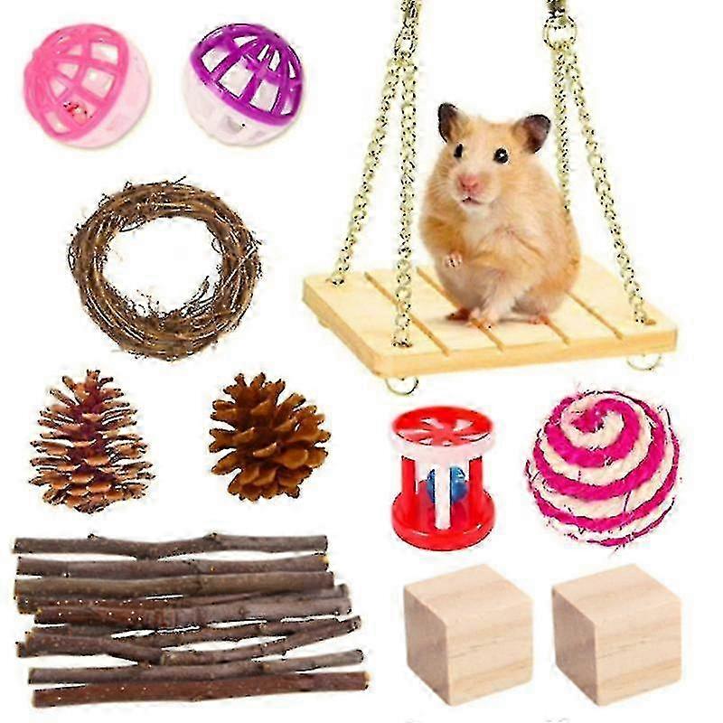 Hamster Çiğneme Oyuncakları Seti Küçük Hayvan Azı Oyuncakları Diş Bakımı Ahşap Aksesuar...