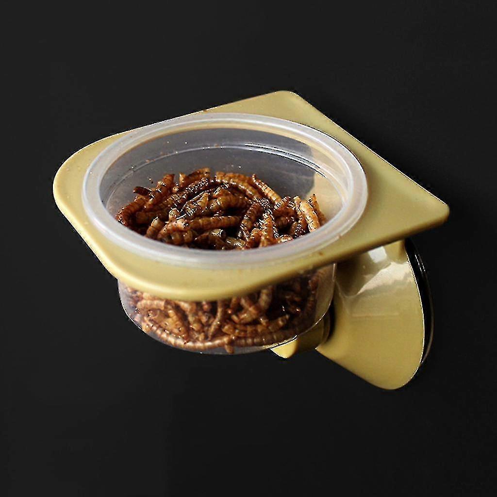 Saugnapf Reptil Wasser Futter Feeder Wandbehang Fütterung Schüssel Bogen...