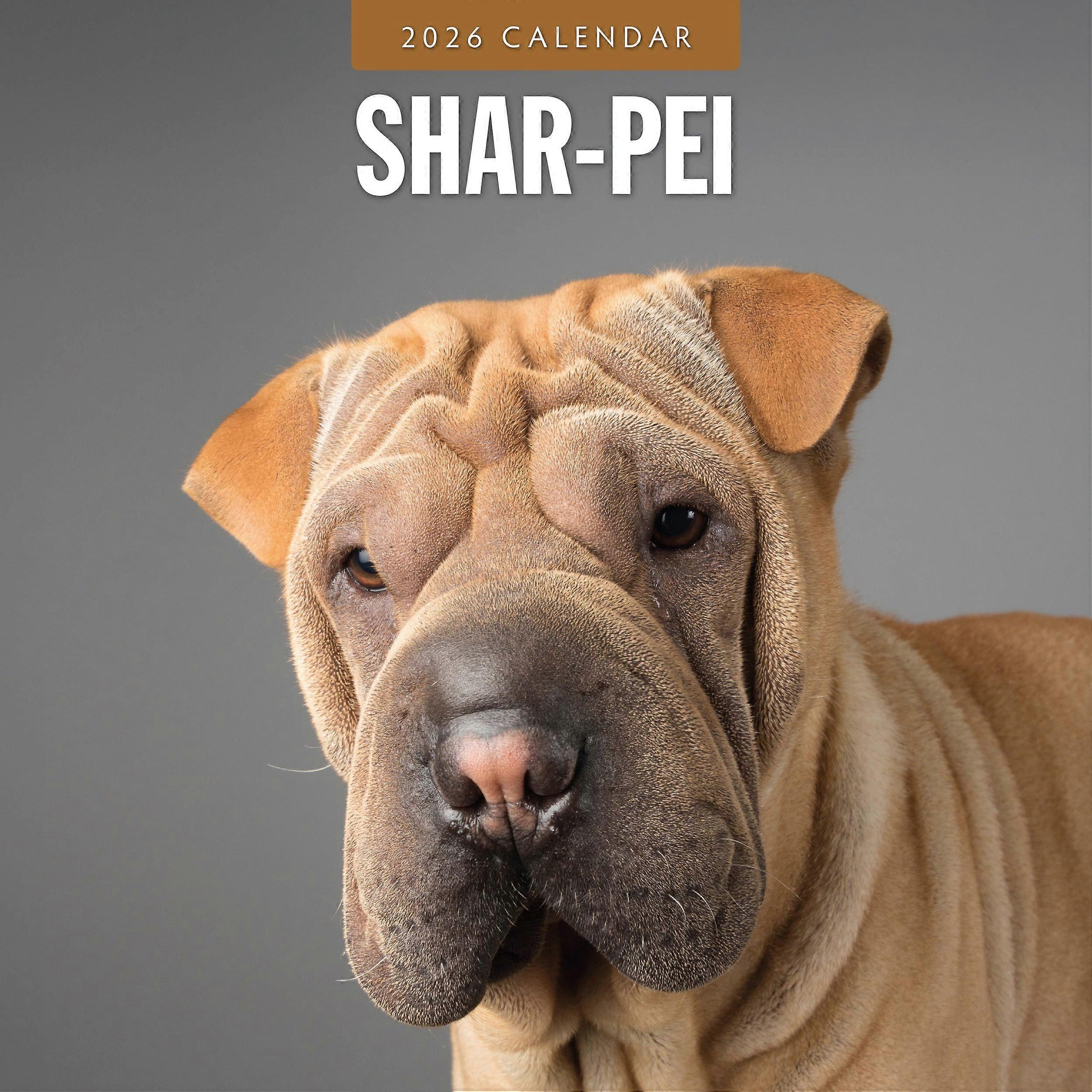 Red Robin Shar Pei Calendar 2026
