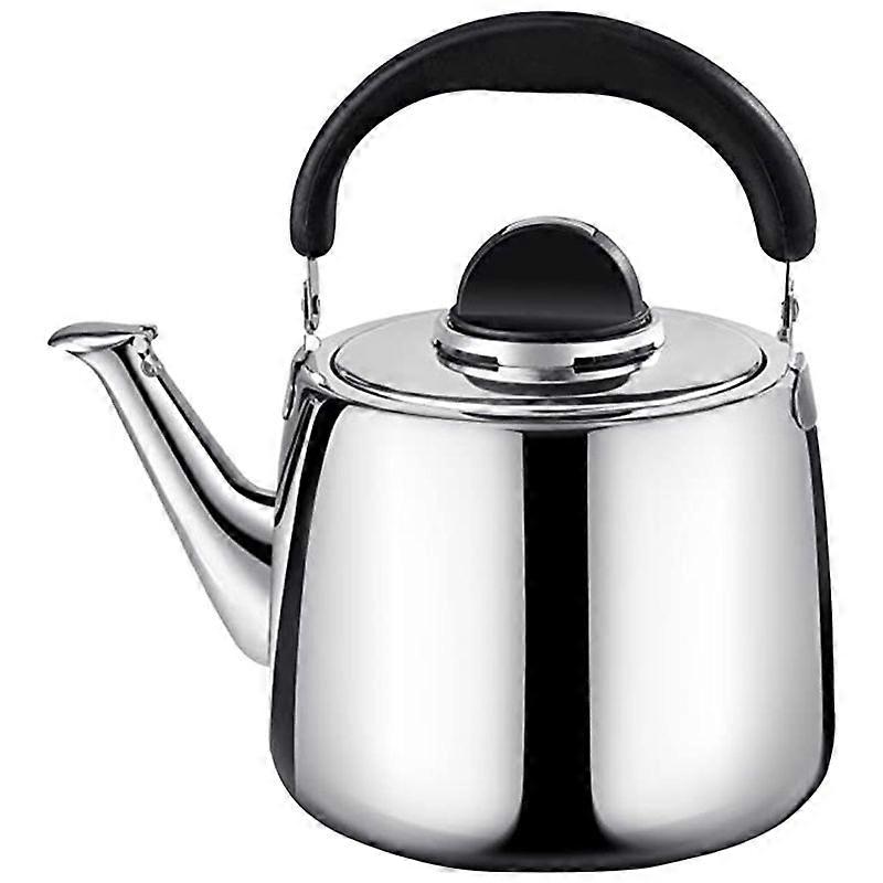 Stainless Steel Rapid Heating Boiling Water Pot Tea Kettle
