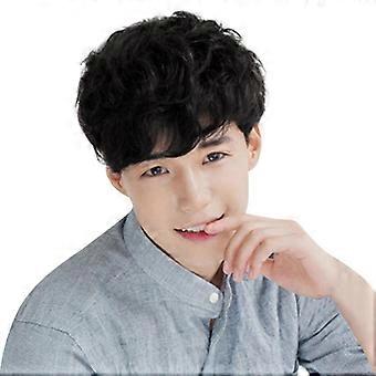 Fashion Synthetic Short Wigs For Men Wig Man Male Brown Black Wig New