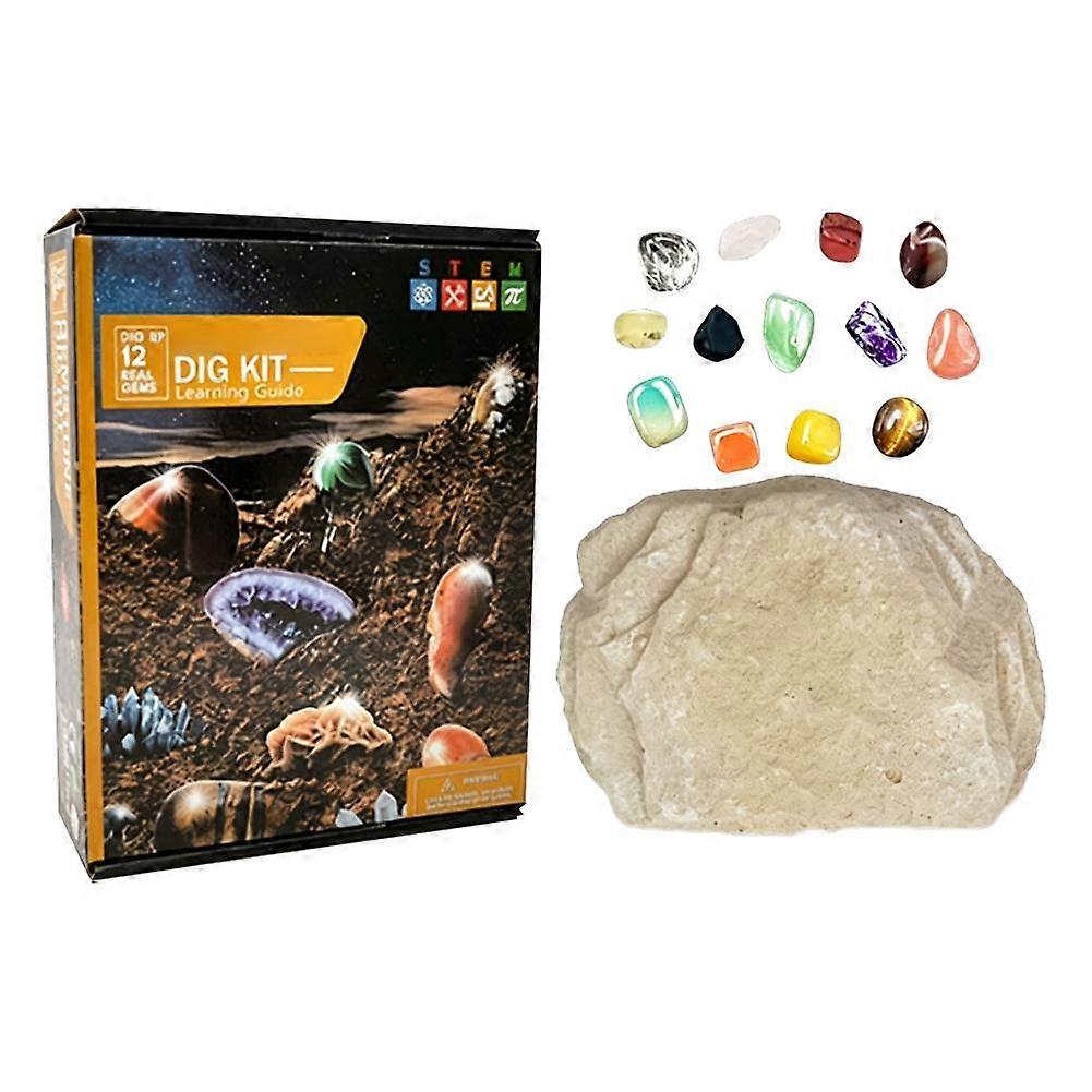 Bionic Archaeological Brick - Digging ToyEducational FunHidden Treasures